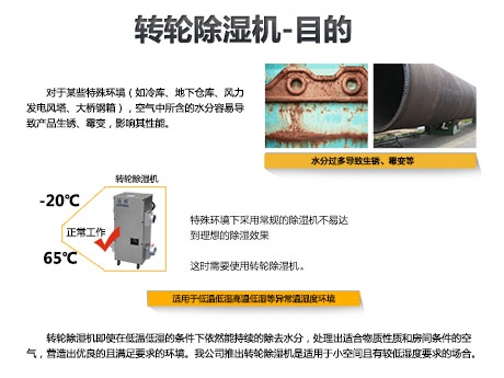 常见问题猫粮防潮秘籍，猫粮如何储存