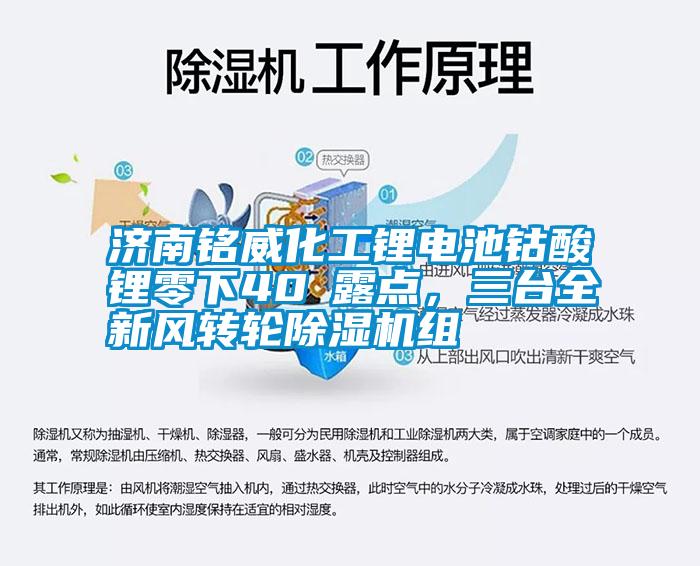 济南铭威化工锂电池钴酸锂零下40℃露点，三台全新风转轮除湿机组