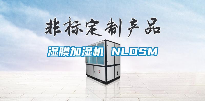 湿膜加湿机 NLDSM