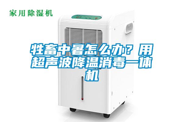 牲畜中暑怎么办？用超声波降温消毒一体机