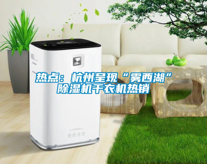 热点：杭州呈现“雾西湖”除湿机干衣机热销