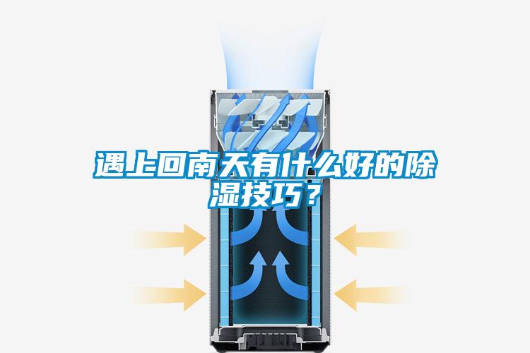 遇上回南天有什么好的除湿技巧？