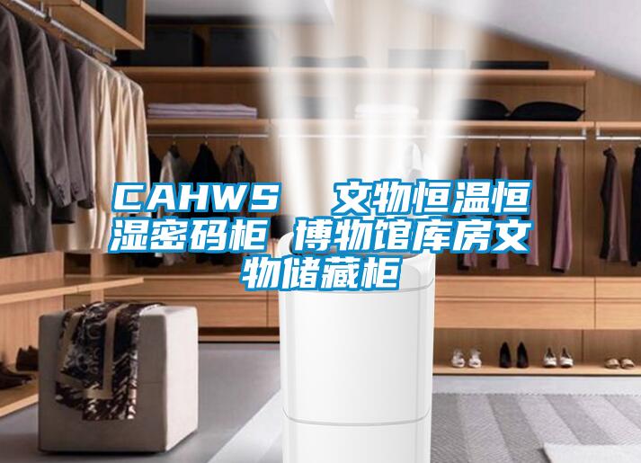 CAHWS  文物恒温恒湿密码柜 博物馆库房文物储藏柜