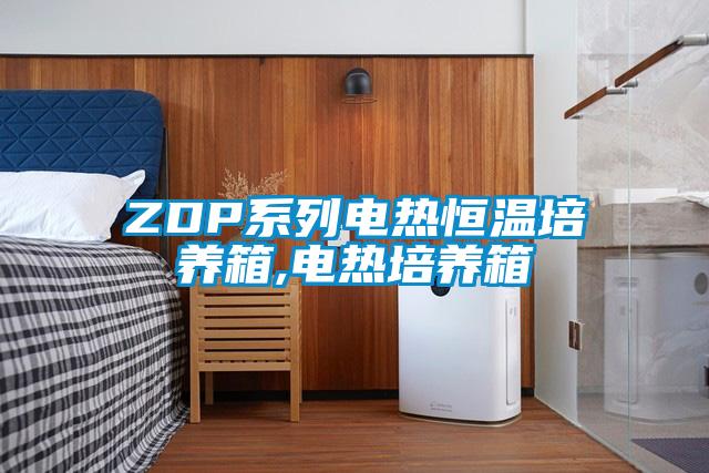 ZDP系列电热恒温培养箱,电热培养箱