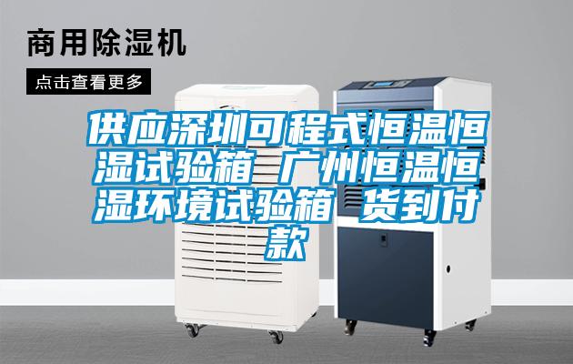 供应深圳可程式恒温恒湿试验箱 广州恒温恒湿环境试验箱 货到付款