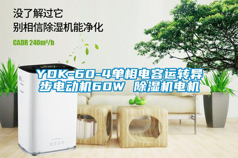 YDK-60-4单相电容运转异步电动机60W 除湿机电机