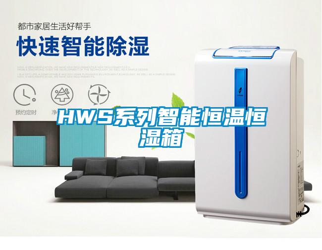 HWS系列智能恒温恒湿箱