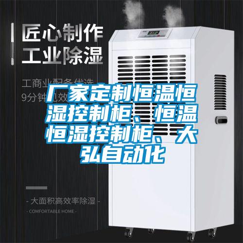 厂家定制恒温恒湿控制柜、恒温恒湿控制柜、大弘自动化
