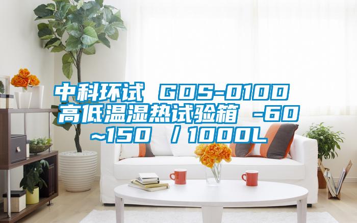 中科环试 GDS-010D 高低温湿热试验箱 -60~150℃／1000L