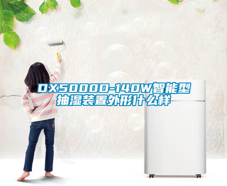 DX5000D-140W智能型抽湿装置外形什么样