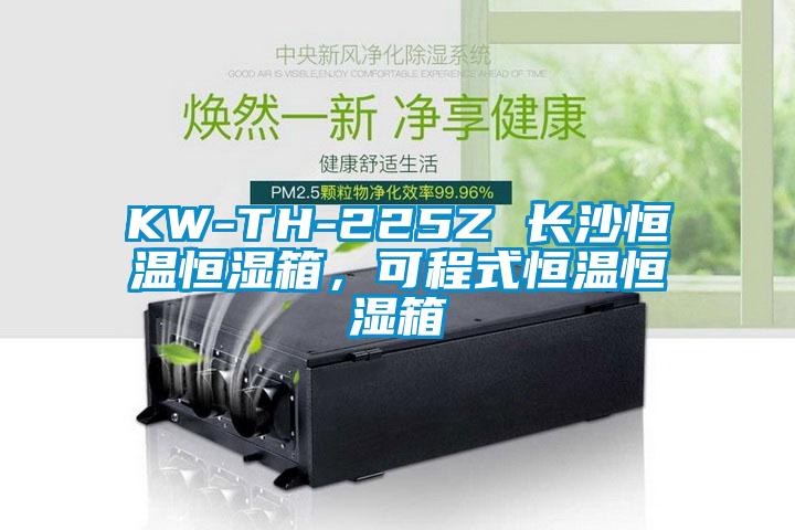 KW-TH-225Z 长沙恒温恒湿箱，可程式恒温恒湿箱