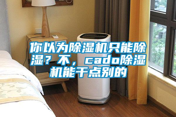 你以为除湿机只能除湿？不，cado除湿机能干点别的