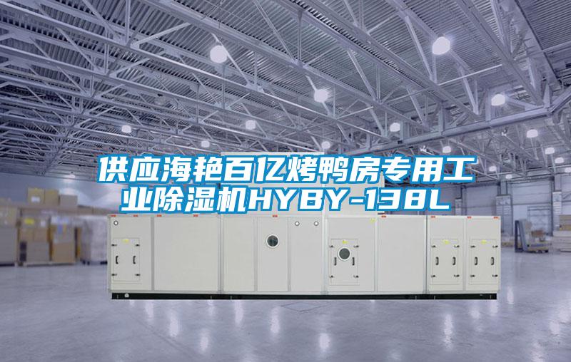 供应海艳百亿烤鸭房专用工业除湿机HYBY-138L