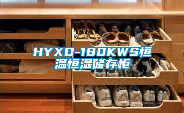 HYXD-180KWS恒温恒湿储存柜