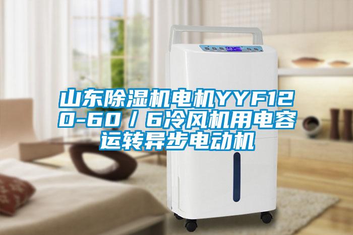 山东除湿机电机YYF120-60／6冷风机用电容运转异步电动机