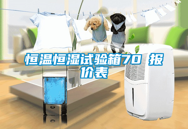 恒温恒湿试验箱70℃报价表