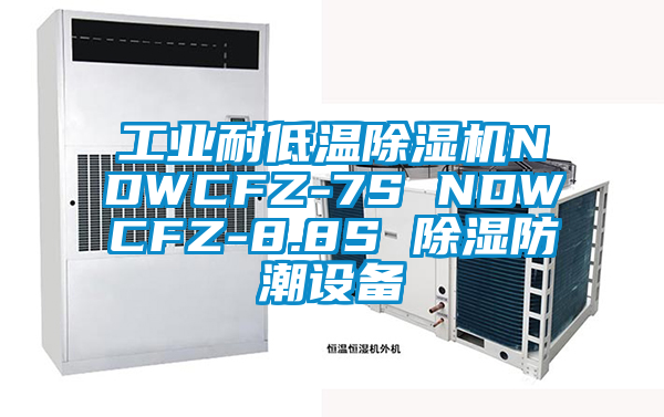 工业耐低温除湿机NDWCFZ-7S NDWCFZ-8.8S 除湿防潮设备