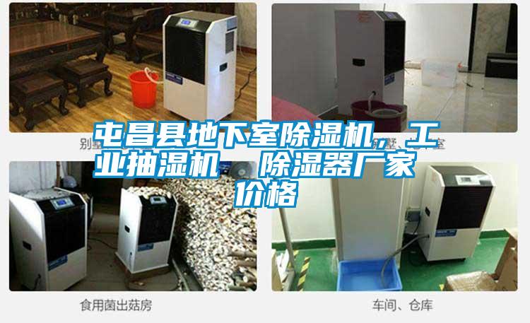 屯昌县地下室除湿机，工业抽湿机  除湿器厂家 价格