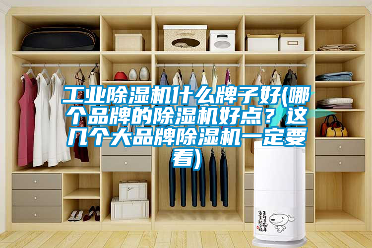 工业除湿机什么牌子好(哪个品牌的除湿机好点？这几个大品牌除湿机一定要看)