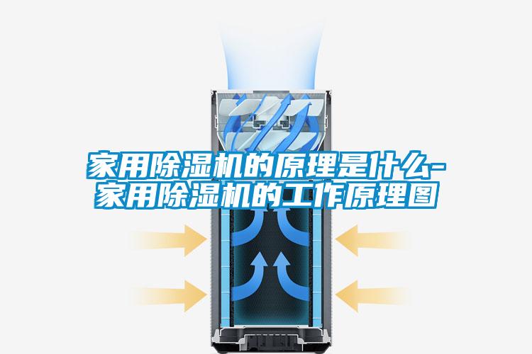 家用除湿机的原理是什么-家用除湿机的工作原理图