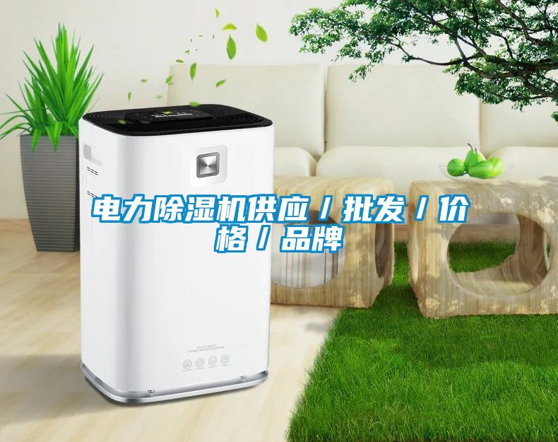 电力除湿机供应／批发／价格／品牌