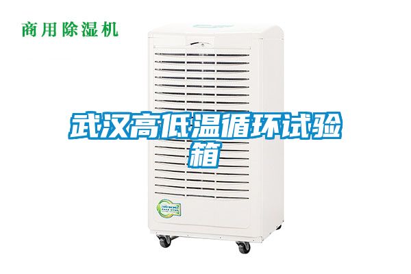 武汉高低温循环试验箱