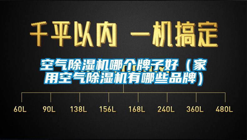 空气除湿机哪个牌子好（家用空气除湿机有哪些品牌）