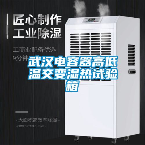 武汉电容器高低温交变湿热试验箱