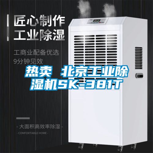 热卖 北京工业除湿机SK-381T