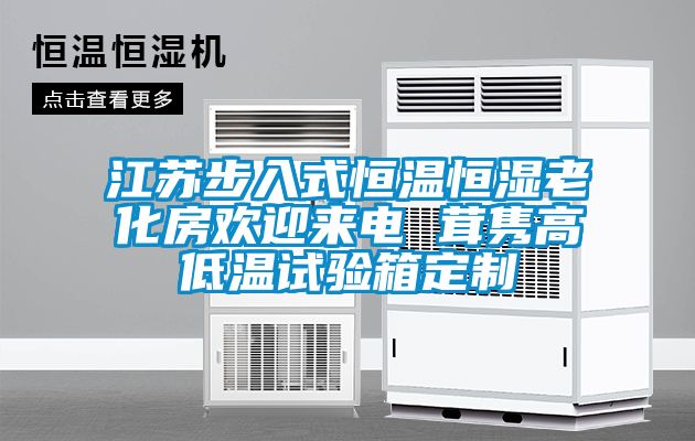 江苏步入式恒温恒湿老化房欢迎来电 茸隽高低温试验箱定制