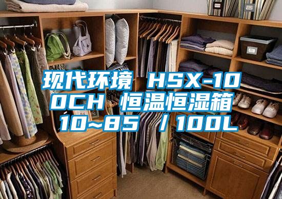 现代环境 HSX-100CH 恒温恒湿箱 10~85℃／100L