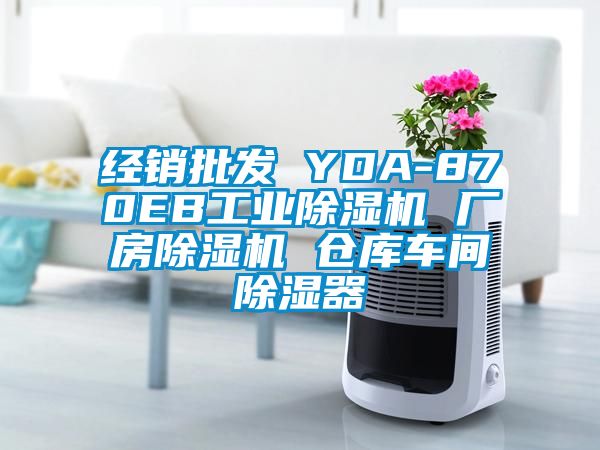 经销批发 YDA-870EB工业除湿机 厂房除湿机 仓库车间除湿器