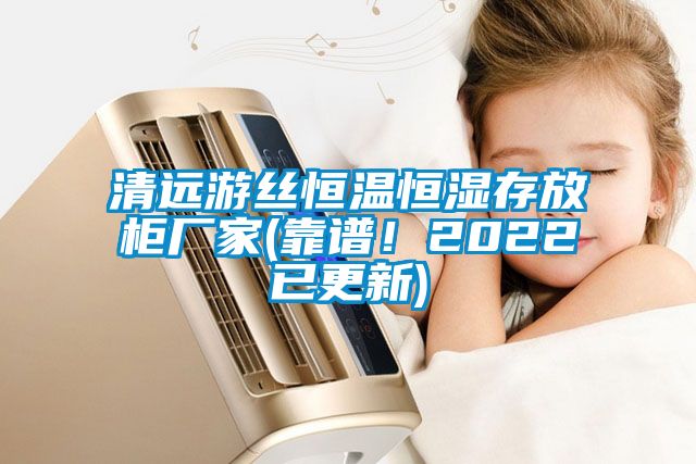 清远游丝恒温恒湿存放柜厂家(靠谱！2022已更新)