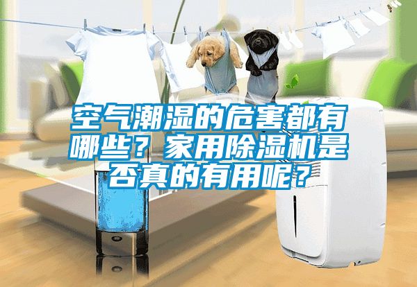 空气潮湿的危害都有哪些？家用除湿机是否真的有用呢？