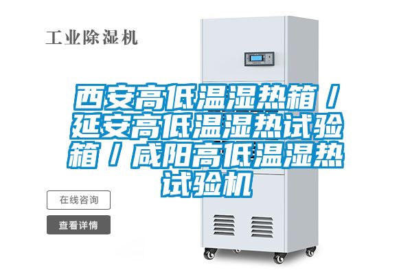 西安高低温湿热箱／延安高低温湿热试验箱／咸阳高低温湿热试验机