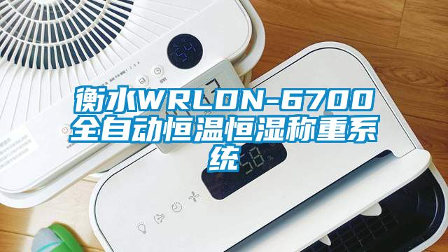 衡水WRLDN-6700全自动恒温恒湿称重系统