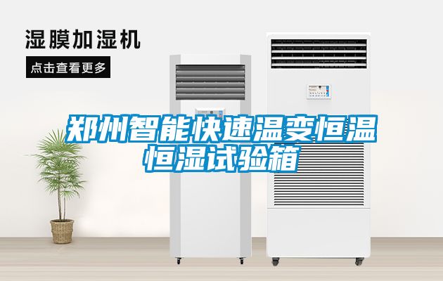 郑州智能快速温变恒温恒湿试验箱