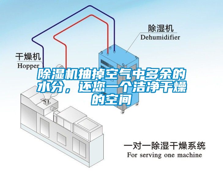 除湿机抽掉空气中多余的水分，还您一个洁净干燥的空间