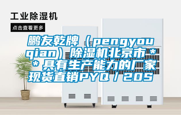 鹏友乾牌（pengyouqian）除湿机北京市＊＊具有生产能力的厂家现货直销PYQ／20S