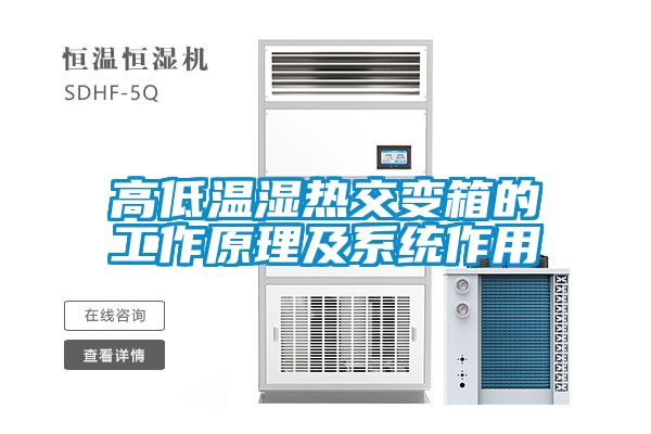 高低温湿热交变箱的工作原理及系统作用