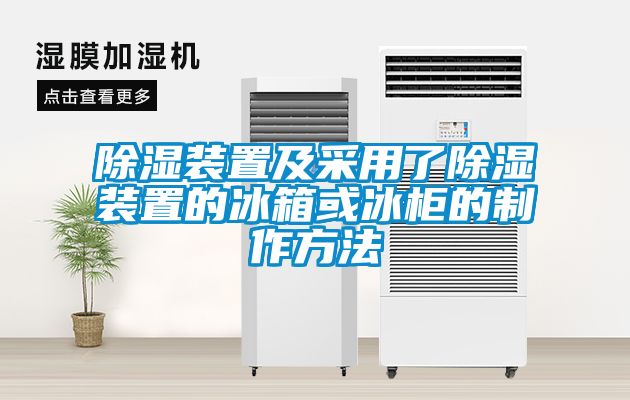 除湿装置及采用了除湿装置的冰箱或冰柜的制作方法
