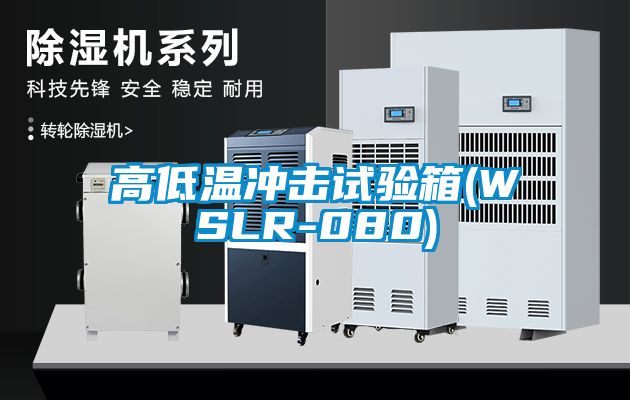 高低温冲击试验箱(WSLR-080)
