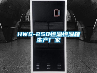 常见问题HWS-250恒温恒湿箱生产厂家