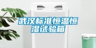 武汉标准恒温恒湿试验箱