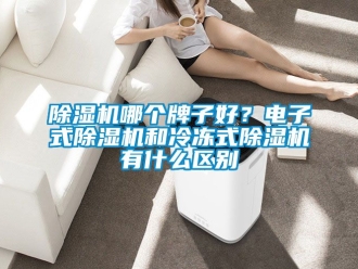 行业新闻除湿机哪个牌子好？电子式除湿机和冷冻式除湿机有什么区别