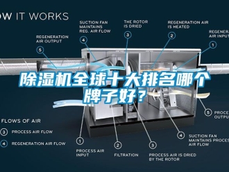 行业新闻除湿机全球十大排名哪个牌子好？