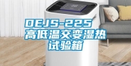 DEJS-225  高低温交变湿热试验箱