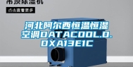 河北阿尔西恒温恒湿空调DATACOOL.O.DXA13E1C