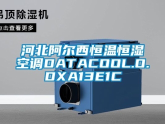 知识百科河北阿尔西恒温恒湿空调DATACOOL.O.DXA13E1C