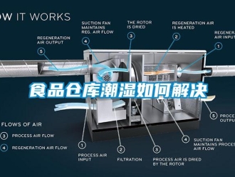 常见问题食品仓库潮湿如何解决